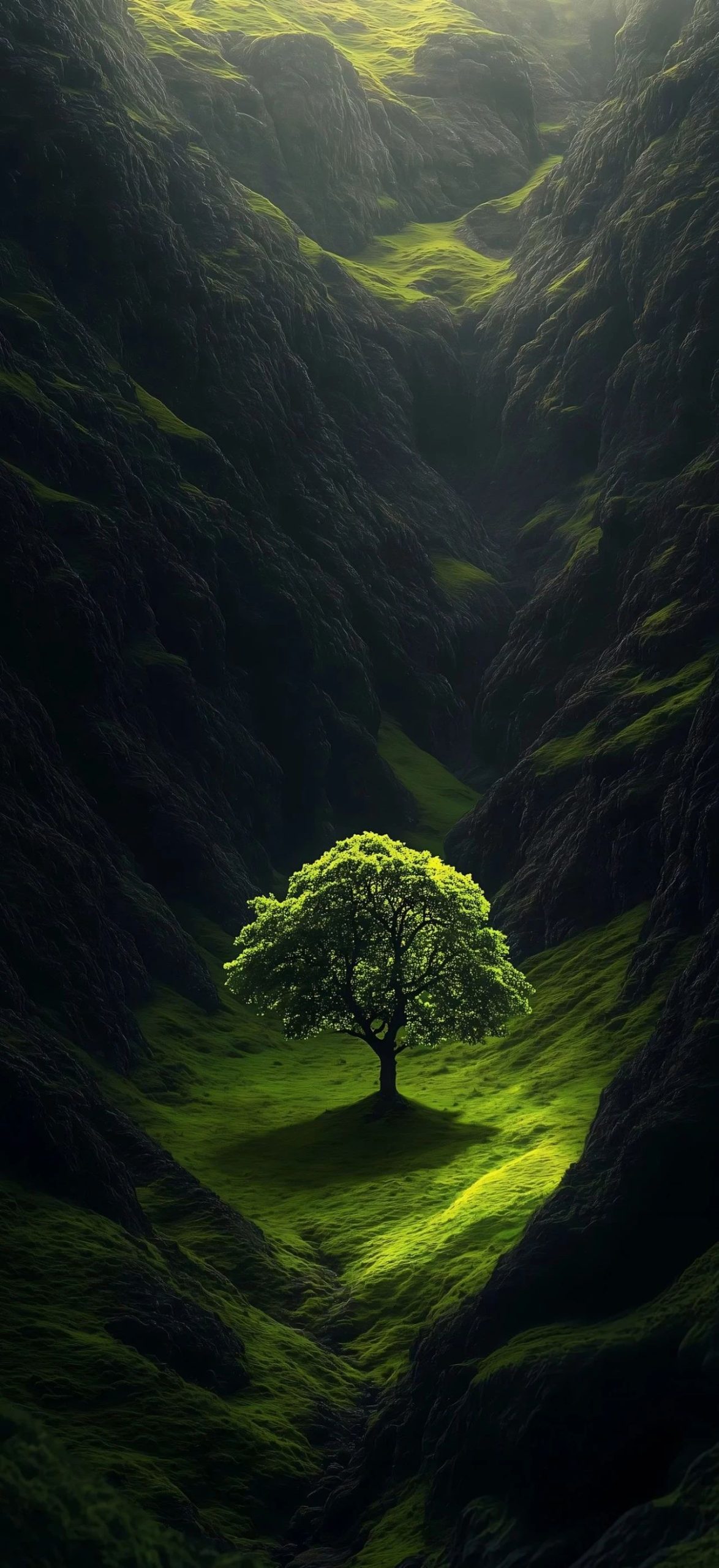 这波全屏壁纸绝了!看一眼就狠狠心动,谁的壁纸该换了?